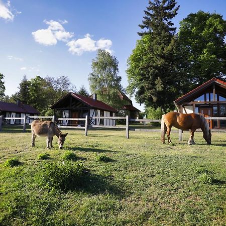 Pferdehof Schorfheide Βίλα Εξωτερικό φωτογραφία