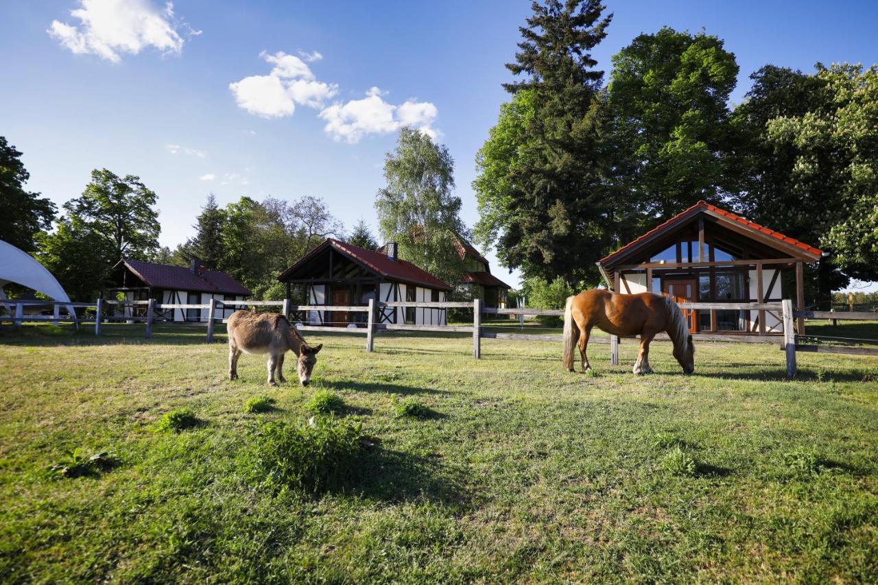 Pferdehof Schorfheide Βίλα Εξωτερικό φωτογραφία