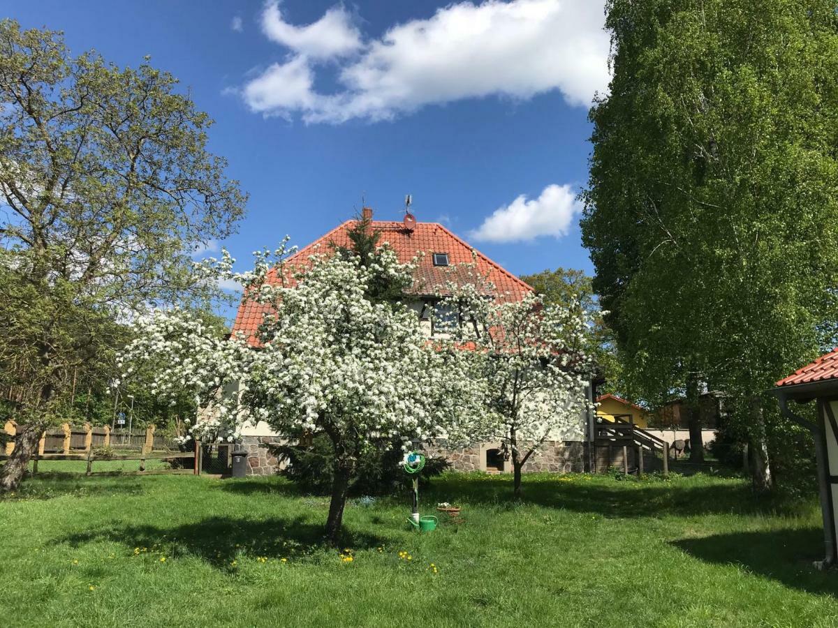 Pferdehof Schorfheide Βίλα Εξωτερικό φωτογραφία