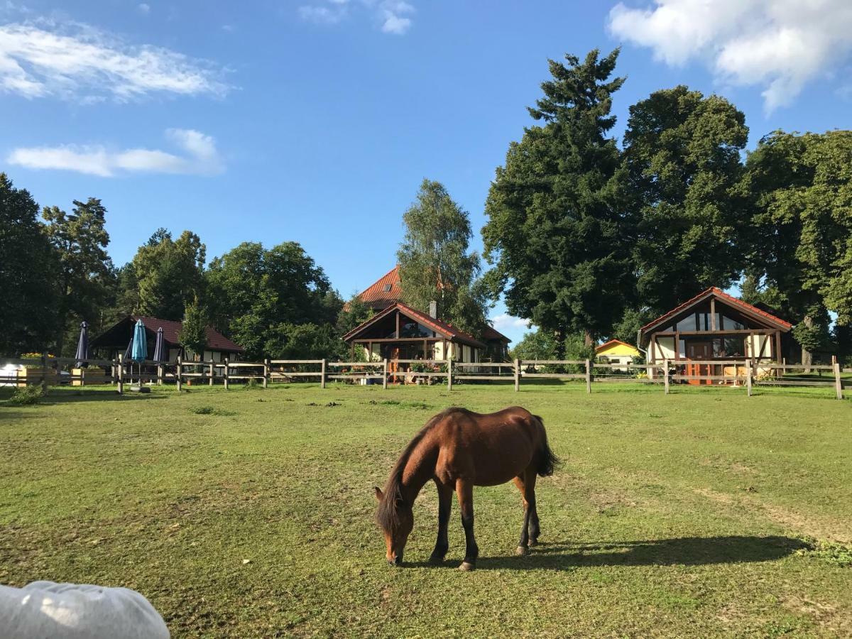 Pferdehof Schorfheide Βίλα Εξωτερικό φωτογραφία